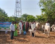 VT Conducted Veterinary Camp Animal Protection