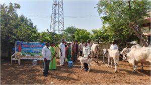 VT Conducted Veterinary Camp Animal Protection