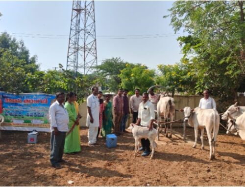 VT Conducted Veterinary Camp- Animal Protection