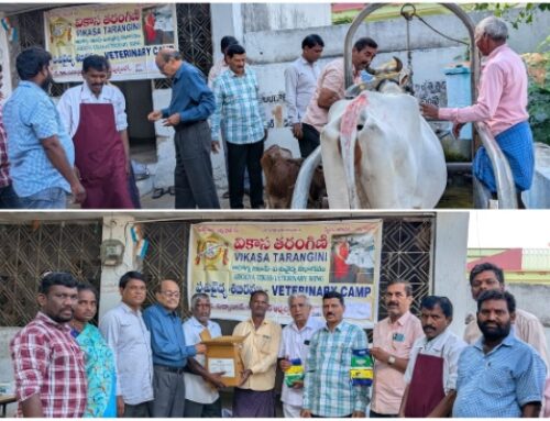 Veterinary Camp at Thimmapur Village, Karimnagar District