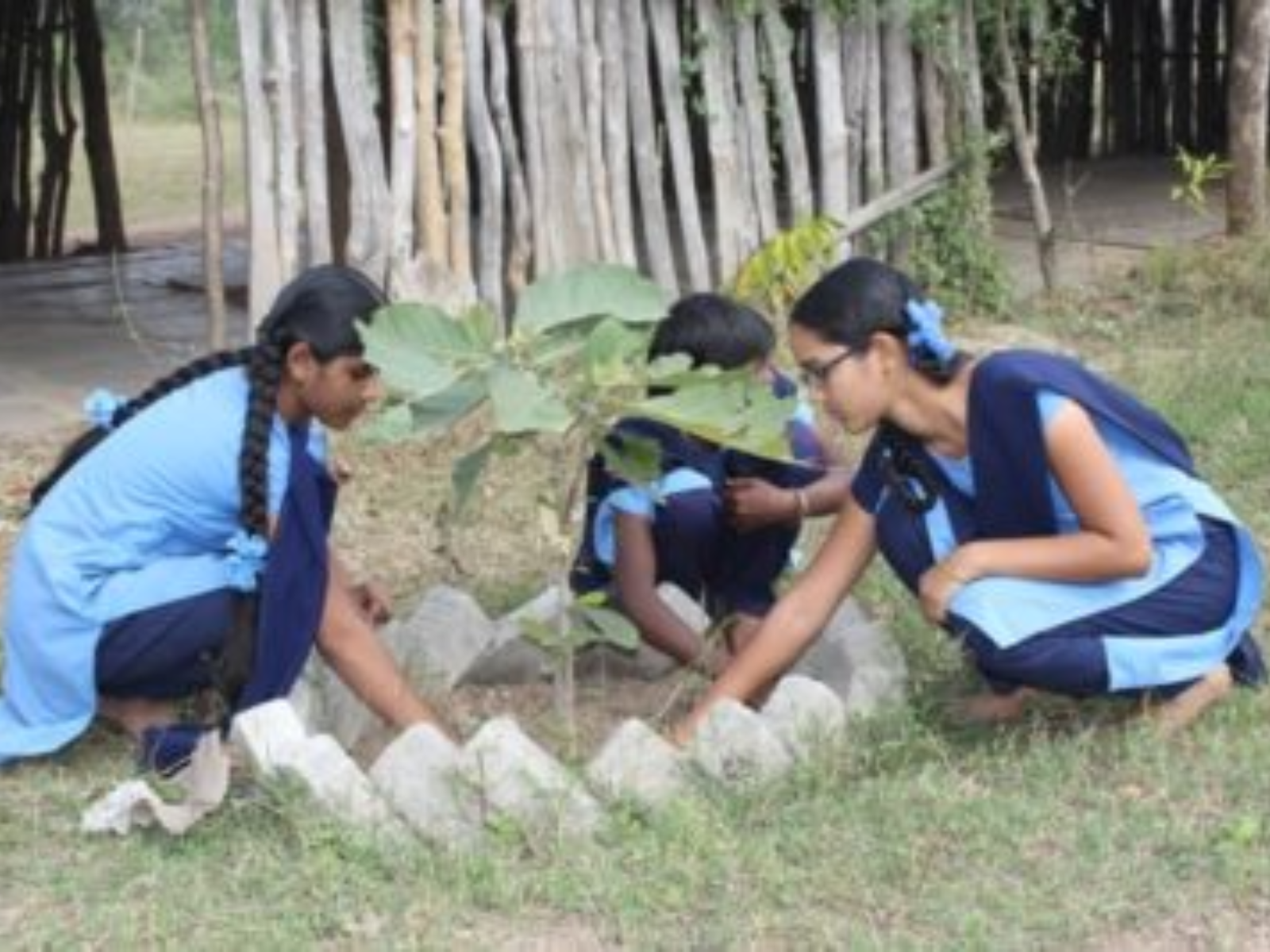 HH Jeeyar swamiji planting in Environment Protection activites