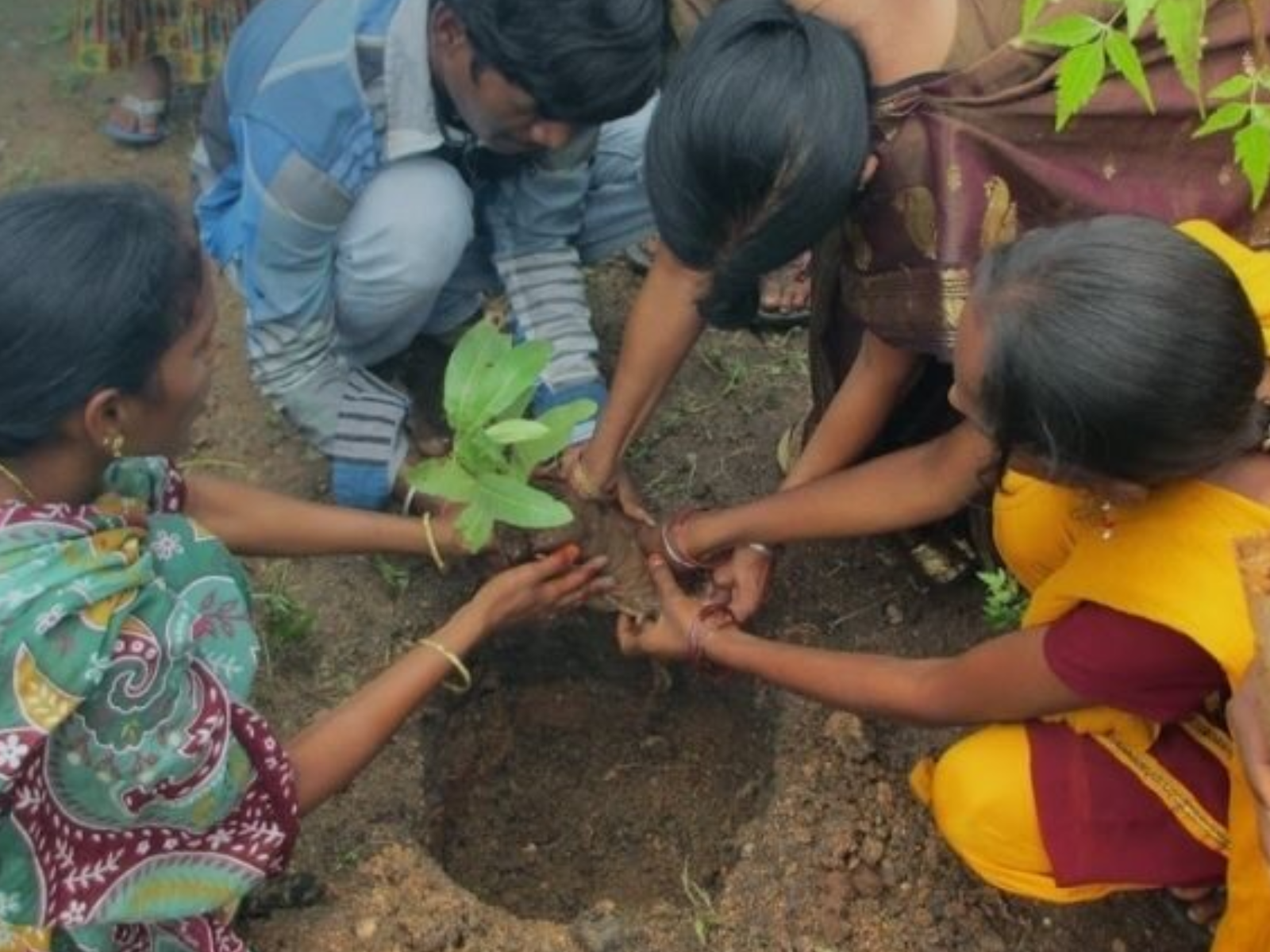 HH Jeeyar swamiji planting in Environment Protection activites