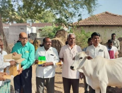 Veterinary Camp Conducted at Ramachandrapur, Karimnagar