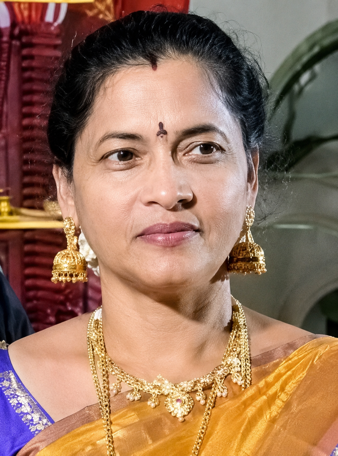 V. Annapurna